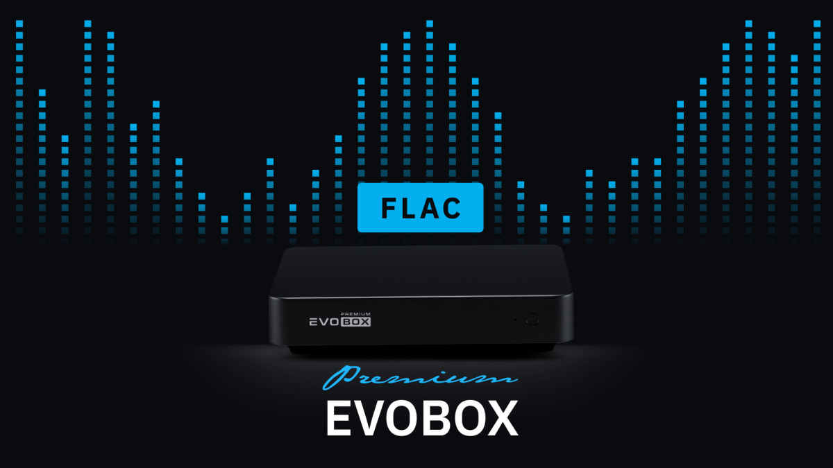 Hi-End караоке-система для дома EVOBOX Premium Black