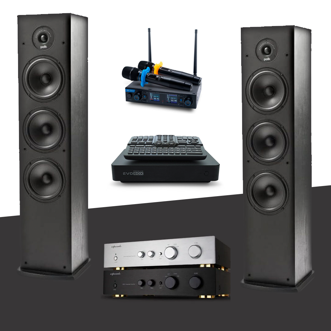 Комплект для караоке и кинотеатра HOME STEREO